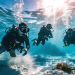 The “Valet Diving” Experience: Luxury Travel Beneath the Surface