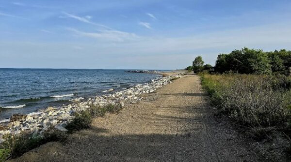 Spring Awakening on the Shores of Lake Michigan