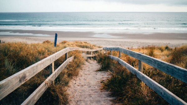 Nags Head Beach Jockey’s Ridge State Park: Home to the tallest natural sand dune system on the East Coast. It’s the premier spot in the state to try hang gliding or to hike up and watch a breathtaking sunset over the Roanoke Sound.